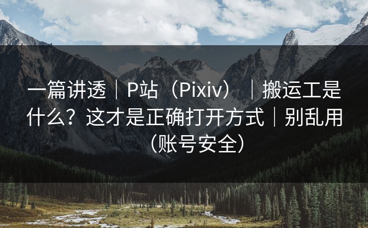一篇讲透｜P站（Pixiv）｜搬运工是什么？这才是正确打开方式｜别乱用（账号安全）